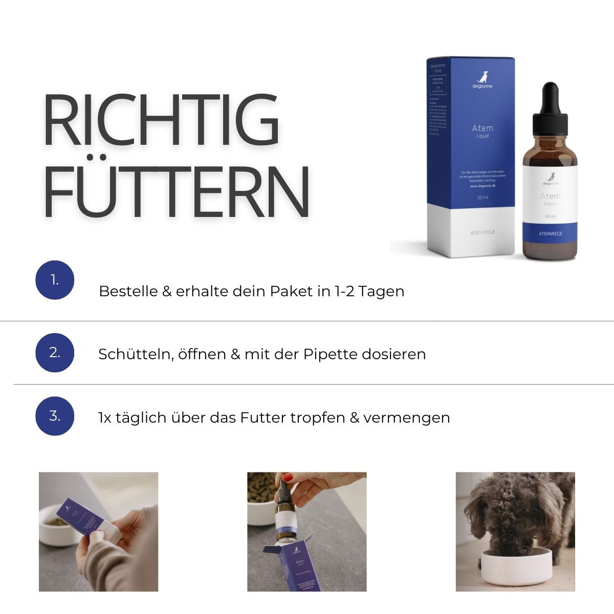 Grafik wie fütterst du dogsome richtig, bestellen und erhalten, schütteln und Pipette dosieren, täglich über das Futter geben und vermengen.
