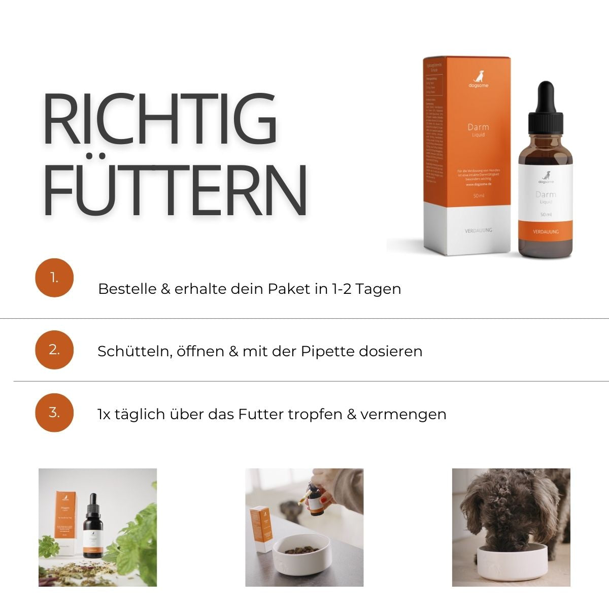 Grafik wie fütterst du dogsome richtig, bestellen und erhalten, schütteln und Pipette dosieren, täglich über das Futter geben und vermengen.