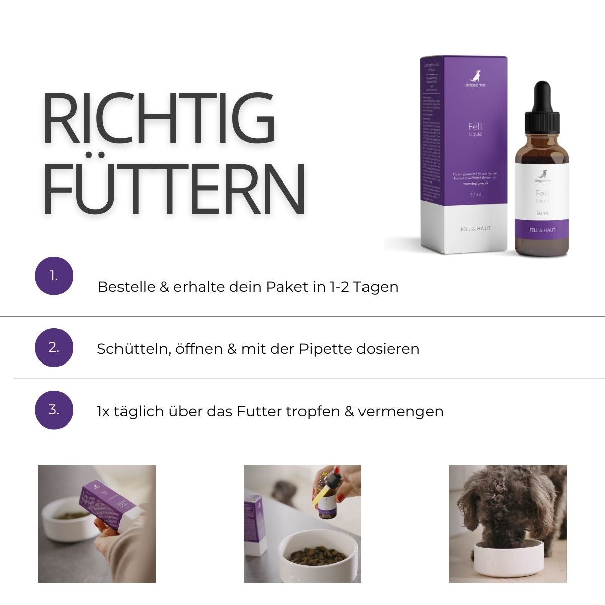 Grafik wie fütterst du dogsome richtig, bestellen und erhalten, schütteln und Pipette dosieren, täglich über das Futter geben und vermengen.