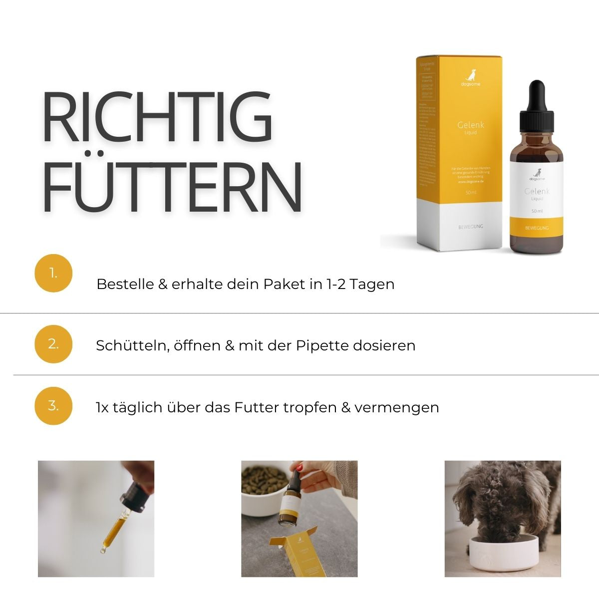 Grafik wie fütterst du dogsome richtig, bestellen und erhalten, schütteln und Pipette dosieren, täglich über das Futter geben und vermengen.