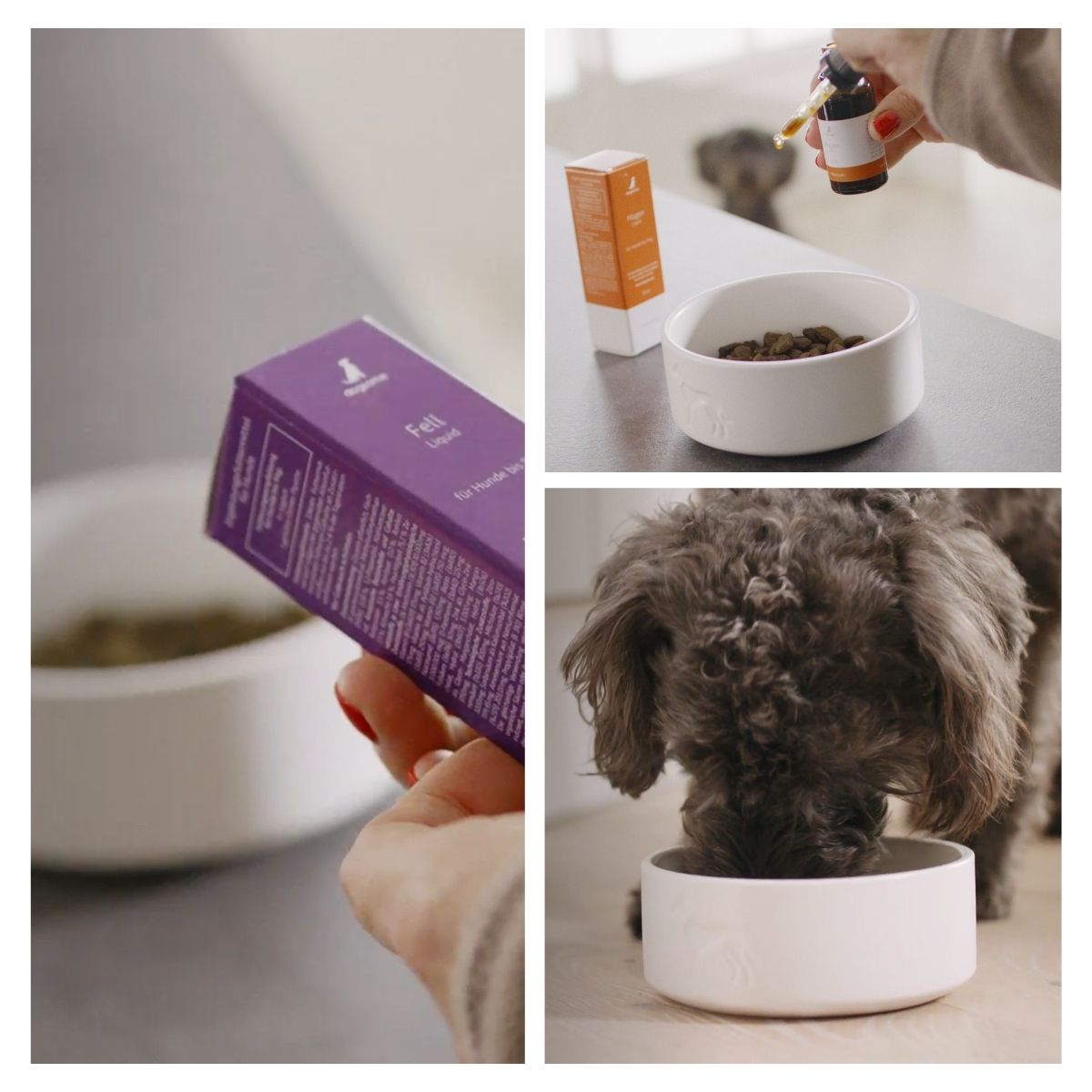 dogsome Ergänzungsfuttermittel für Hunde, unterstützt Leber & Stoffwechsel von Hunden. Moodbild.