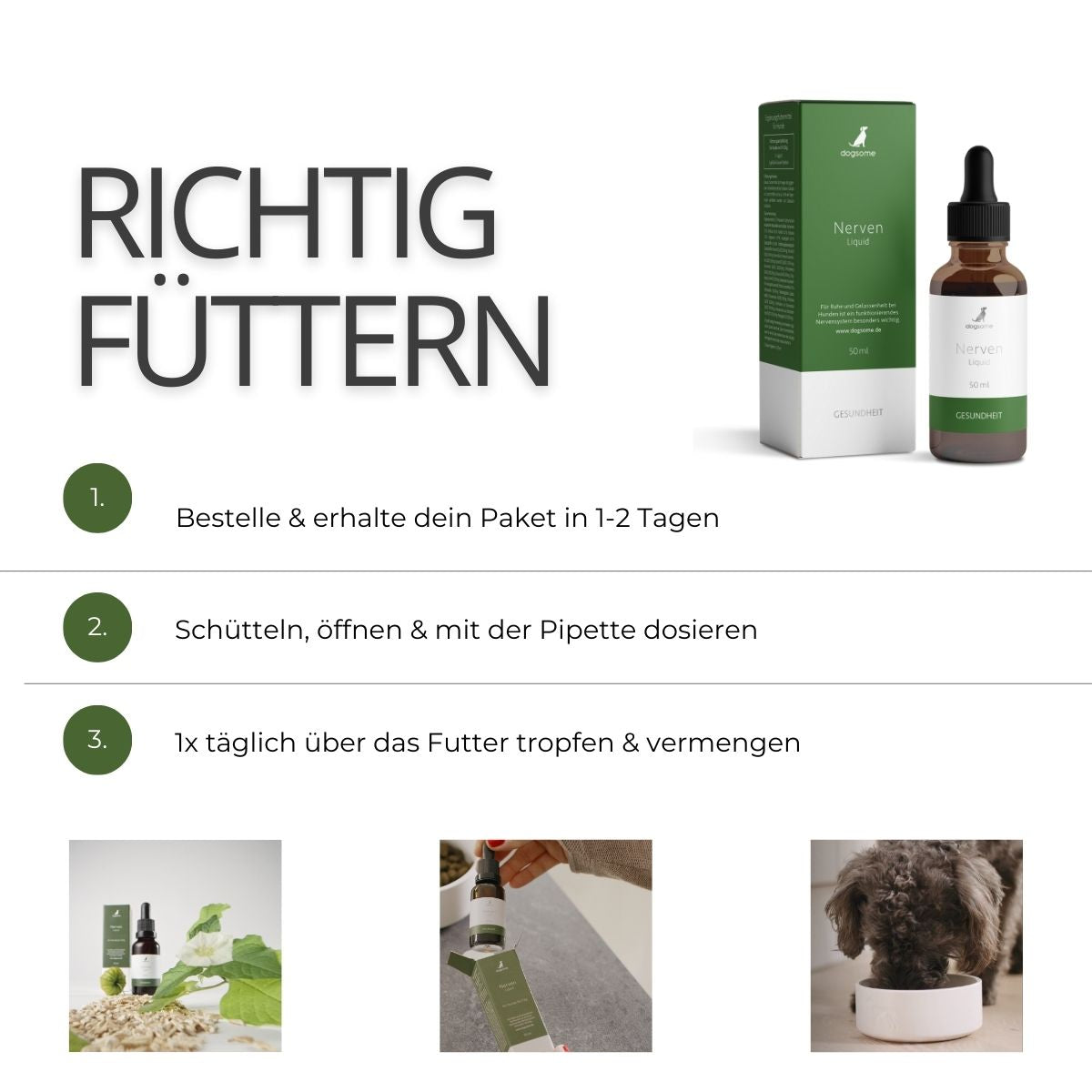 Grafik wie fütterst du dogsome richtig, bestellen und erhalten, schütteln und Pipette dosieren, täglich über das Futter geben und vermengen.