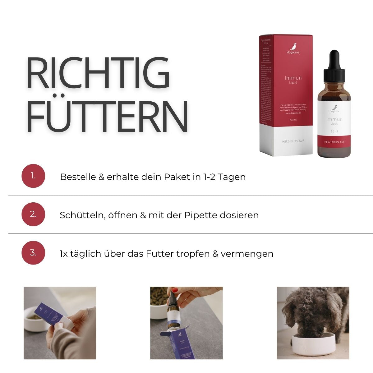 Grafik wie fütterst du dogsome richtig, bestellen und erhalten, schütteln und Pipette dosieren, täglich über das Futter geben und vermengen. 