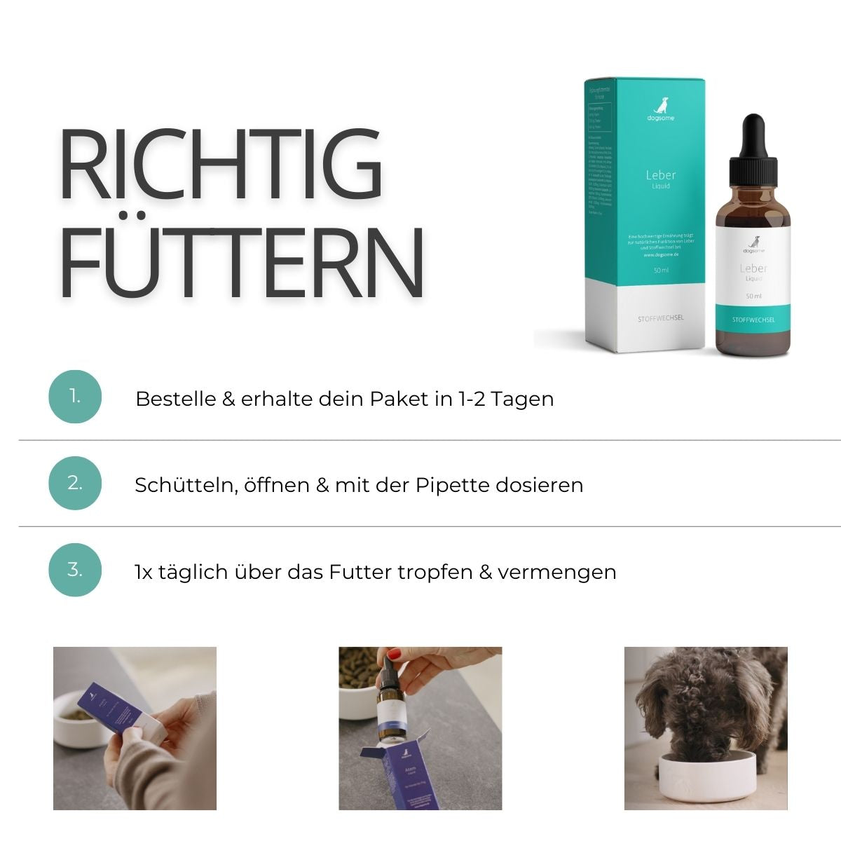 Grafik wie fütterst du dogsome richtig, bestellen und erhalten, schütteln und Pipette dosieren, täglich über das Futter geben und vermengen. 